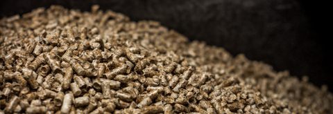 This is some sort of industry