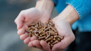 Pellet drzewny a agro pellet – różnice, które mają znaczenie w codziennym ogrzewaniu